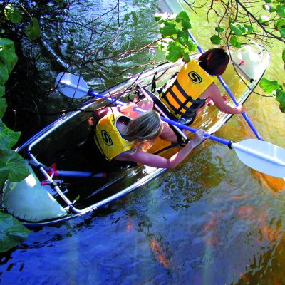 aerial shot of two people in a double kayak paddling through mangroves